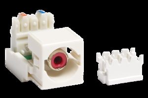 CommScope RCA TO 110 OUTLET, WHITE HOUSE